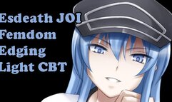 Esdeath Teaches you a Lesson [hentai JOI, AgK JOI] (Femdom, Light CBT, Edging, CEI)