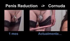 REDUCE Cuckold's Cock Size so that he is more Humiliated and Obedient in Chastity FEMDOM