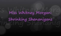 Shrinking Shenanigans Vore with Whitney Morgan - wmv