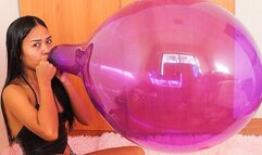Your Sexy Cousin Camylle Blows To Pop Your 17Inch Tuftex Crystal Balloon