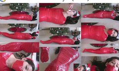 Summer Peters - Gift Wrapped (wmv HD 1080)