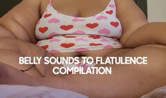 BELLY SOUNDS TO FLATULENCE COMPILATION