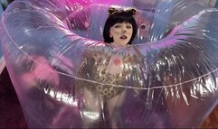 Pussycat Gets Stuck In Inflatable Squeezer