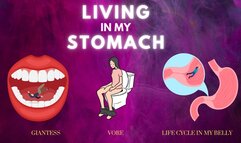 Living in My Stomach - Getting Swallowed, Digested, and Turned into Waste Inside of Giantess Countess Wednesday's Stomach - ft ASMR Sounds of Swallowing, Belly Growls, and Your Tiny Body Inside My Stomach - AUDIO MP4 1080p