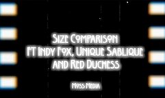 Size comparison ft Indy Fox Unique, Sablique and Red Duchess