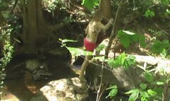 Hiker Fucks And Cums In Her Mouth While Carmen Sunbathing On The Creek! (1st half wmv)