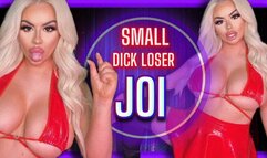 Small Dick LOSER JOI (480 MP4)