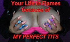 Your Life in Flames because of My Perfect Tits