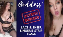 Goddess Lace and Sheer Strip Tease (1080WMV)