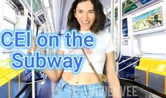 CEI on the Subway with the Girl Next Door VivienVee