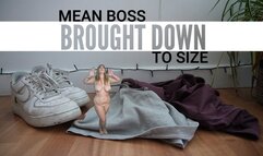 Mean Boss Brought Down To Size SFX WMV