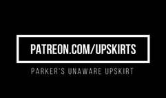 Parker Unaware Upskirt