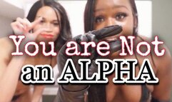 You're NOT an Alpha | 12 Days of Christmas, Day 4