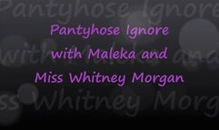 Maleka & Miss Whitney Morgan: Pantyhose Ignore POV