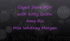 Caged Slave At The Feet Of Kitty Whitney Ama