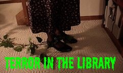 Terror in the Library - 540res & raw footage