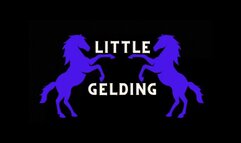 Lilith Taurean Takes Your Manhood - My Little Gelding - Audio Only