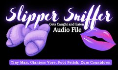 Slipper Sniffer Gets Caught and Eaten - Audio File - The Goddess Clue, Tiny Man, Giantess Vore, Shoe Smelling, Foot Fetish and Cum Countdown