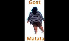 Multiple positions with GOAT Matata