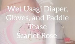 Wet Usagi Diaper, Gloves, and Paddle Tease