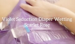 Violet Seduction Diaper Wetting