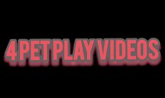 4 Pet Play Videos Bundle