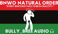 BNWO The Natural Order Audio