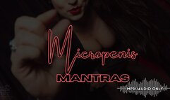 Micropenis Mantras SPH Verbal Humiliation MP3