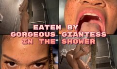 Eaten By Gorgeous Giantess In The Shower- Ebony Giantess Goddess Rosie Reed Swallows You Whole In The Shower- standard definition