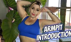 Armpit Introduction