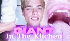 Unaware Giant In The Kitchen (UHD WMV)