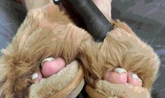 Fluffy Slippers: Game of Passion and ComfortSD