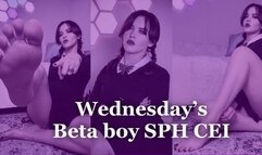 Wednesday's Beta boy SPH CEI
