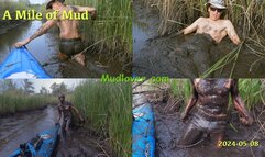 A Mile of Mud, 2024-05-08