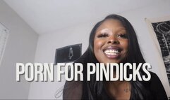 Porn For Pindicks