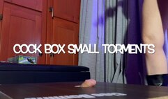 GEA DOMINA - COCK BOX SMALL TORMENTS