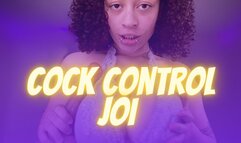 I Talk, You Stroke - Cock Control JOI [Voiceover Audio]