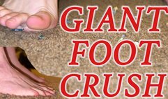 Unaware Giant Foot Crush! - 4K