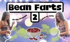 Custom: Bean Farts 2!
