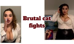 Brutal cat fights