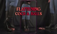 Secretary Flattening Cock and Balls, Plexiglass and Black Heels - (Vertical Version) - TamyStarly - Trample, Crushing, Crush, Bootjob, Ballbusting, CBT, Shoejob, Riding, Stomp