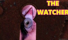 THE WATCHER