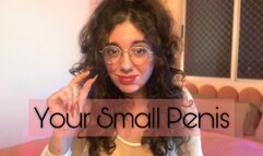 Your Small Penis JOI