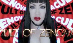 Cult of Zenova 4K