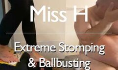 Extreme Stomping & Ballbusting (Close up)