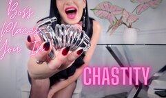 Your Boss Places You In Chastity HD 720p MP4