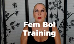 Fem Boi Training XHD (WMV)