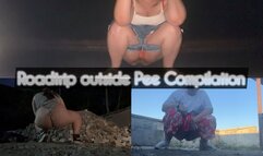 Roadtrip Outside Pee Compilation