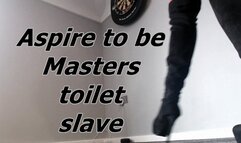 Aspire to be Maters toilet