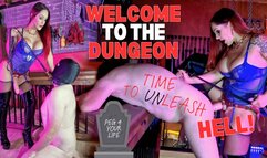 Welcome To The Dungeon!